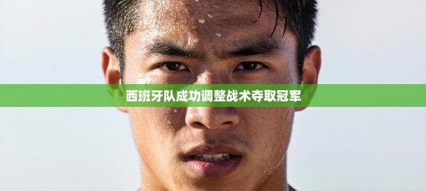 西班牙队成功调整战术夺取冠军