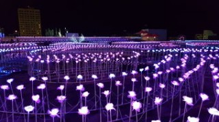 魔术队多点开花，轻取比赛取得胜利，魔术 队