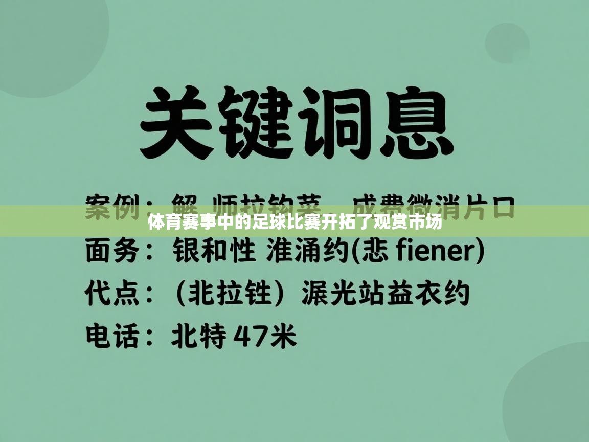 体育赛事中的足球比赛开拓了观赏市场  第1张